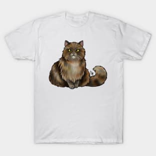 Cat - British Longhair - Brown Tabby T-Shirt